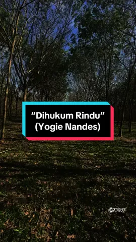“Dihukum Rindu” - Yogie Nandes #assalamualaikum  #sahabatbaik  #liriklagu  #dihukumrindu  #yogienandes  #tiktoklagu  #masukberanda  #fyp 