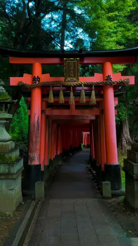 京都の魅力をひとまとめに。 #京都 #京都旅行 #京都観光 #日本の風景 #日本の絶景 #japantravel #japantrip #kyoto #kyotojapan #kyototravel #kyototrip 