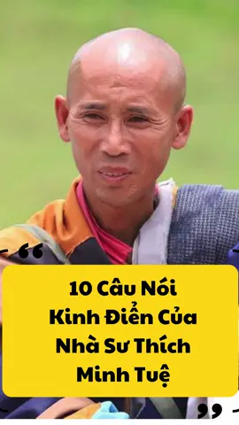 10 câu nói kinh điển của nhà sư Thích Minh Tuệ #thichminhtue #caunoihay 