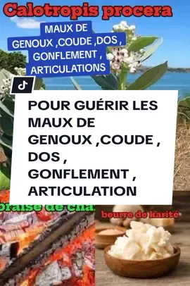 POUR GUÉRIR LES MAUX DE GENOUX ,COUDE ,DOS , GONFLEMENT , ARTICULATION #astuce #fyp #viral 