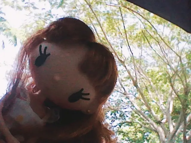 out ‘n about  (all photos by me) . . . . . . . #doll #blythe #blythedoll #hime #licca #kawaii #plushies #cutecore🎀🦴🍮🐾 #gloomybear #3ds #flowers #aesthetic 