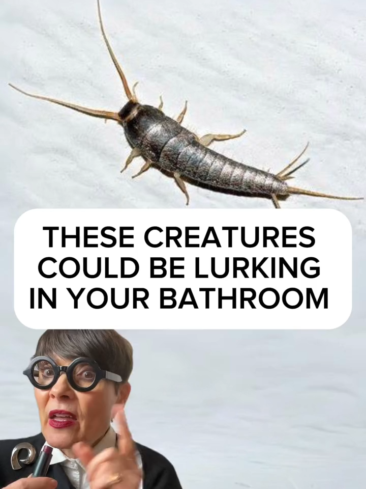 These creatures could be lurking in your bathroom! #silverfish #pestcontrol #HomeImprovement