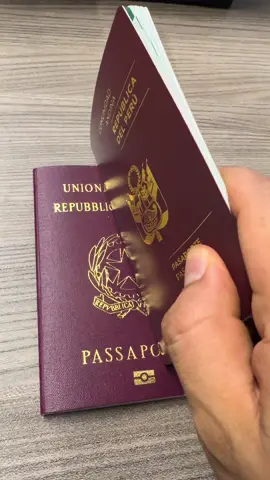Quítate tú que llegó la caballota 🇵🇪😆#humor #passport #peruanos #italia #peruanosenitalia #travel 