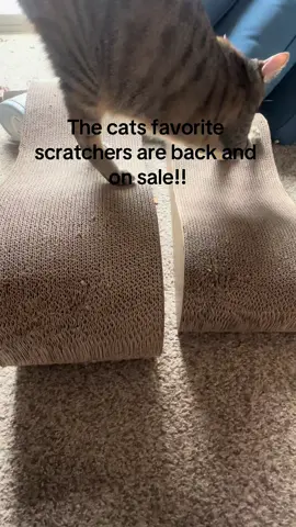 My two cats favorite scratchers are back in stock, on sale and free shipping!! #catsctrach #catscratcher #cats #cat #catsoftiktok #cattoys #scratcher #scratcheds #scratch 