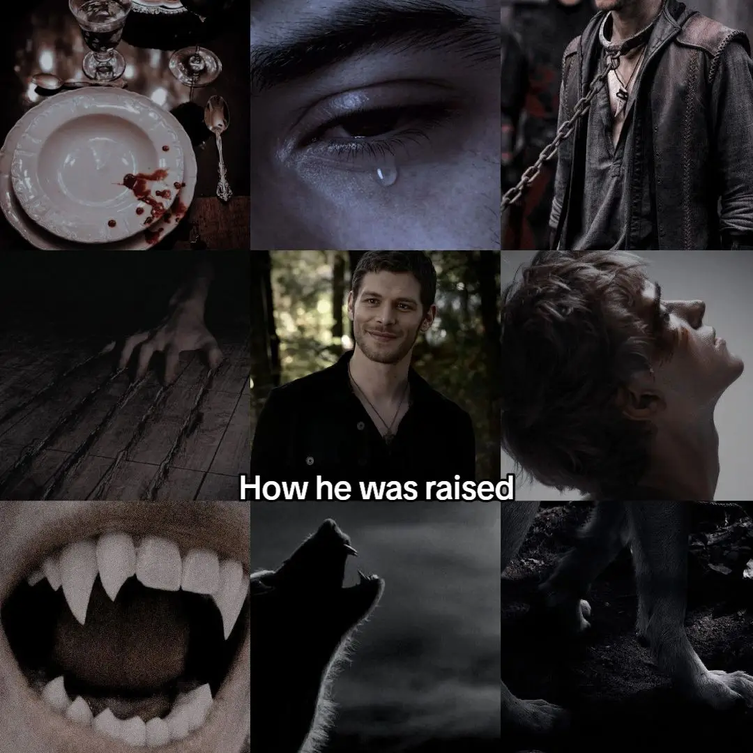 Okay, I'm sorry, but I just love this song🫶🏼 I'm sorry I only posted 1 thing today, but I was busy! #carolineforbes #klausmikaelson #klaroline #tvd #thevampirediaries #viral #fyp #foryoupage 