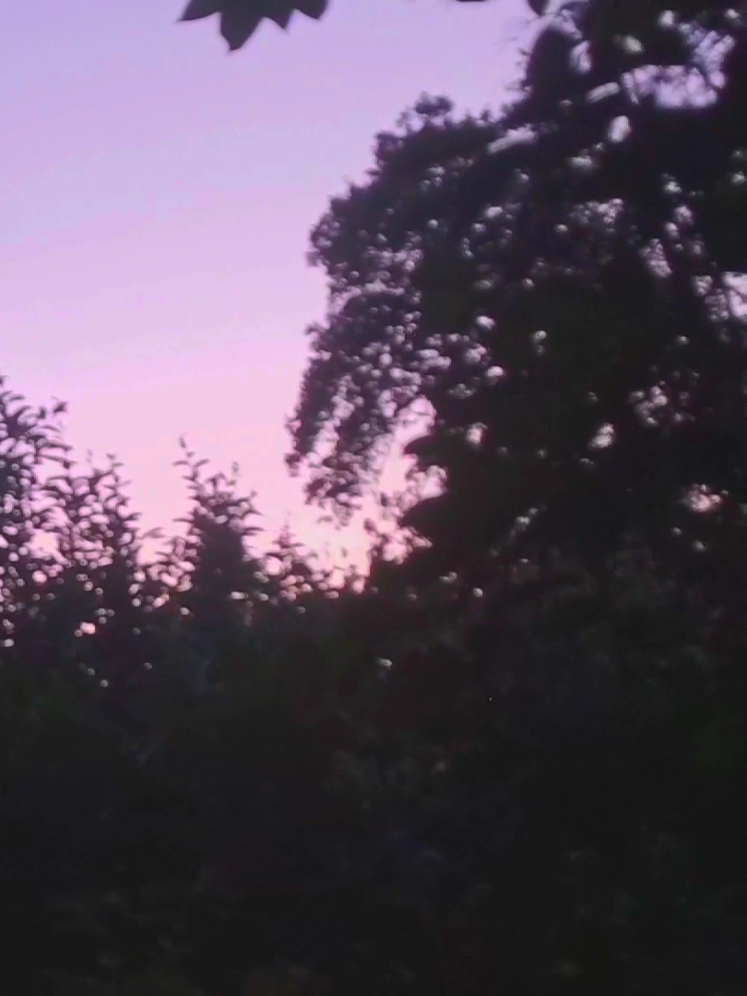 it can't come quickly enough.. #summer #real #vibe #sunset #sun #vibesun #literallyme #summer2024 #digitalcamera #digital #camera #sony #camera2000s #depression #derealization #лето #реал #вайб #солнце #вайбсолнце #буквальноя #лето2024 #цифроваякамера #цифровик #камера #сони #камера2000х #депрессия #дереализация