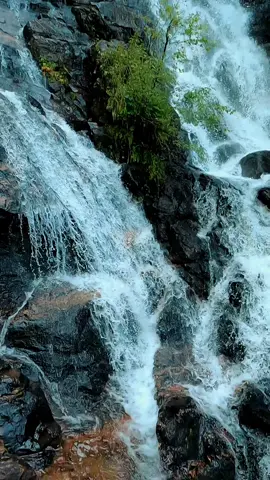 Nature Vibes in Georgia - Amicalola Falls  #waterfall #waterfalls #nature #naturevibes #naturelove #naturelover #naturelovers #calming #positivevibe #peaceful #goodvibes #longwaydown #forest #photography #beauty #fyp #takeawalk #explore #trail #Hiking #hike #Outdoors #trails #lovetrails #positivevibes #meditation #timepass #lostworld #meditate #trailspinexplorer 