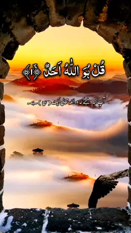 tilawat e Quran beautiful vice quran version #tilawatquranpak1 #quranrecitation57 #foryou #viral #quran #foryoupage 