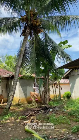 bikin sapu🧹#pitaahrld #minivlog #bikinsapulidi 