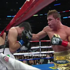Canelo 🔥 #canelo #caneloalvarez #saulcaneloalvarez #boxing #boxer #fight #knockout #sport #legend #goat #champion