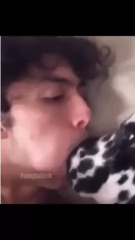 Funny and cute dogs compilation 🤣… #funnydog #funnypet #cutedog #dogsoftiktok #doglover #dog 