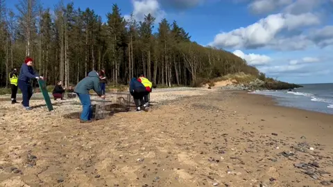 Happy #WorldOceanDay 🌊 Today we would like to share some beautiful release footage of Lake Carrowmore and Celtic Sea💙 Watching the pups return to their ocean home is always a special moment and an important reminder of why it is so crucial to protect our marine environment and all of the precious life within. THANK YOU to all of our Rescue Network volunteers, interns, and supporters who make our work possible! If you would like to support Seal Rescue Ireland’s continued efforts, you can donate through the link in our bio ✨ #HealthySeasHealthySeals #BodiesOfWater #sealreleaseday #MarineConservation