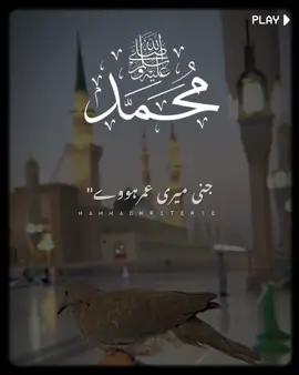 𝐓𝐚𝐢𝐫𝐚(ﷺ)𝐧𝐚𝐦 𝐭𝐨 𝐯𝐚𝐫 𝐝𝐚𝐢𝐯𝐚 𝐆𝐞𝐧𝐡𝐞 𝐦𝐞𝐫𝐞 𝐚𝐮𝐦𝐚𝐫 𝐡𝐨𝐯𝐚❤️🥀#trendingvideo #foryoupage #madinasharif #viewproblem #islamic_video 