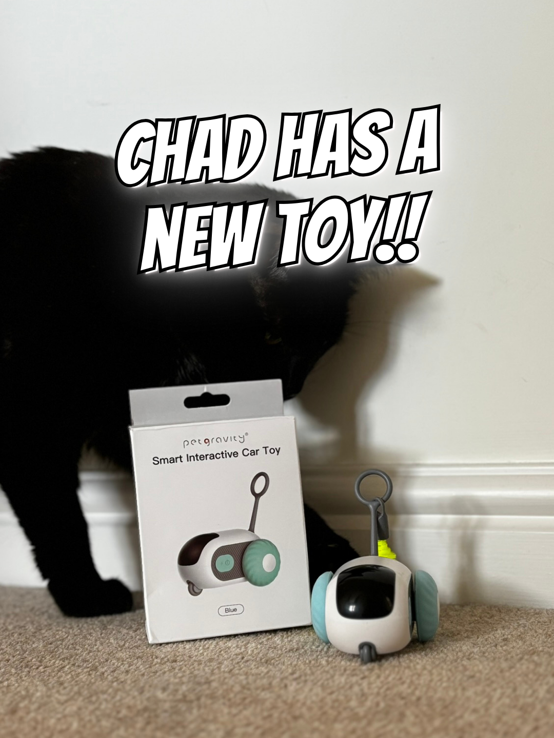 Chad Loves His Remote Control Cat Toy #cattoys #petaccessories #TikTokShop #interactivetoys