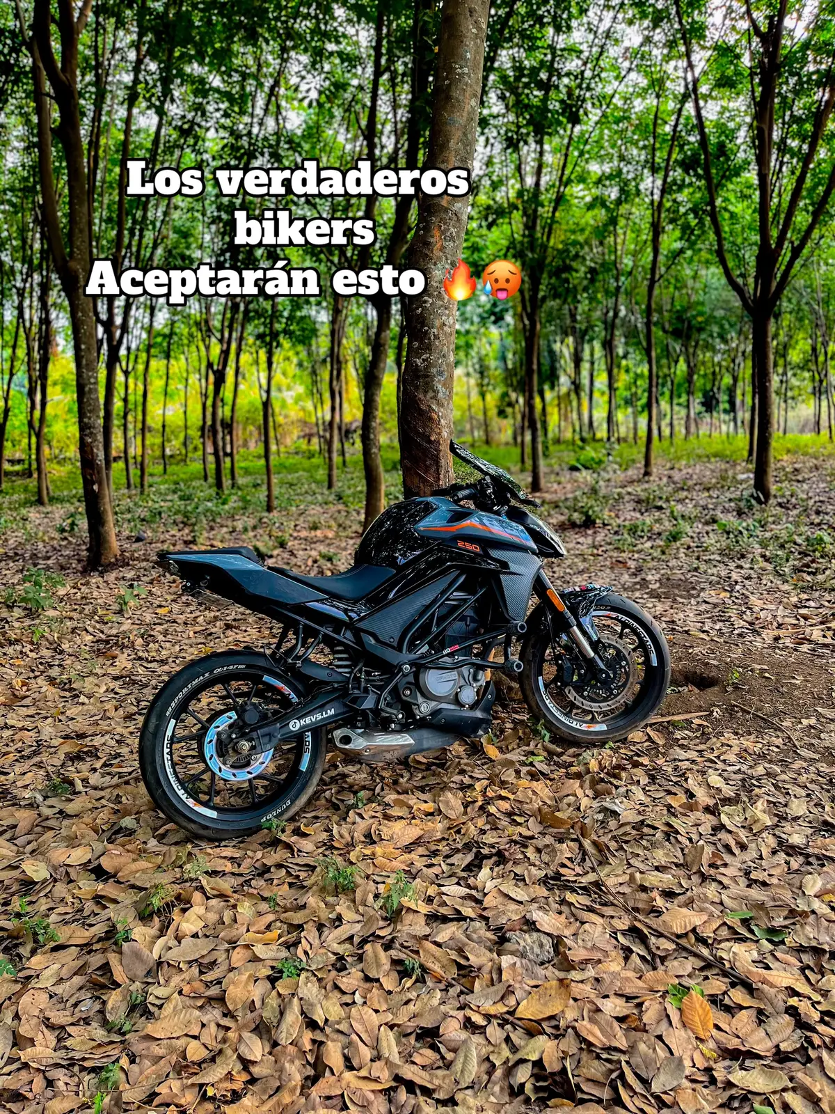 #nk250🔥 #cfmoto #nk250 #moto #bikers #paratii #trend #fypシ #motorcycle #biker #viral #motosdeportivas #motorbike #fyp #parati #fyppppppppppppppppppppppp 