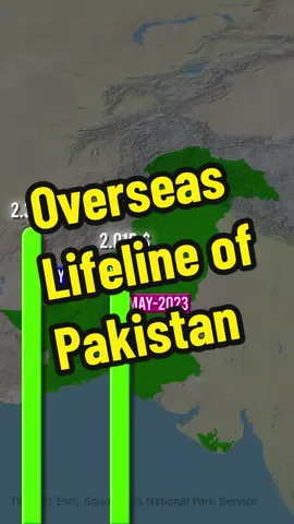 Overseas Life Line Of Pakistan #pakistan #uae #saudiarabia #tiktok #uk #usa 