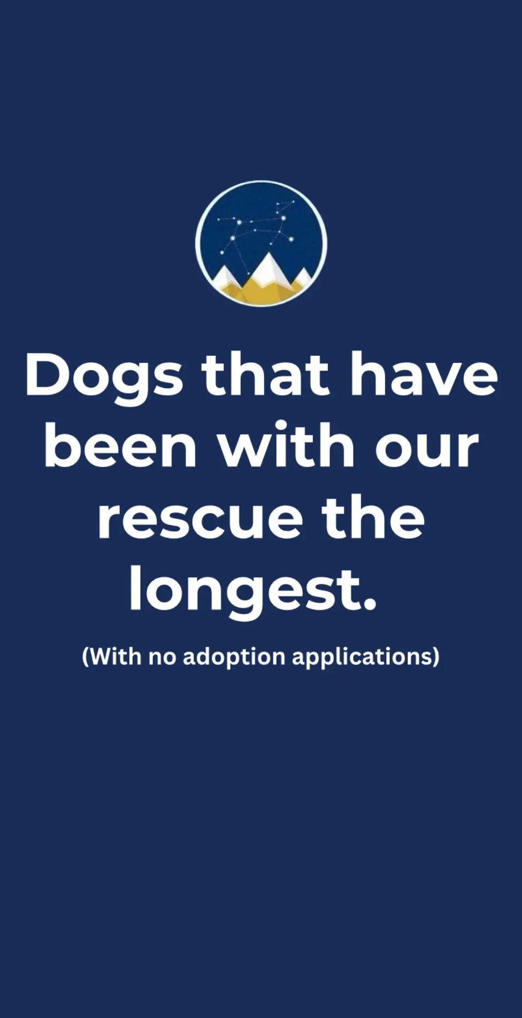 We will not give up til we find these deserving  dogs a forever home. #adoptabledogs #dog #edmonton #edmontonanimalrescue #edmontondogs #adoptdontshopyeg #longestadoptabledogatrescue #yegdogs #rescuedog #rescuedogsoftiktok #rescuedogs #yegadoptabledogs 