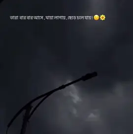 Unfreeze 😅🙏 #thoughts #status #lines #feelings #captions #fyy #moodoff #sadness #upsetvibes #foryoupage #_____shunno_____ #viral #shares #likes #reposts ⚡️