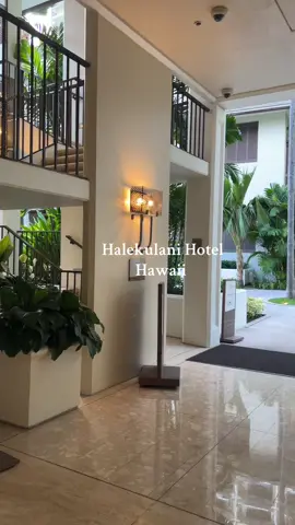 Checked out of Turtle Bay after snorkeling and made the drive down to Honolulu for the rest of our trip. Almost didn’t wanna leave the beauty of the North Shore. We stayed at the Halekulani in Japan for our baby moon when we lived there so had to check out the one in Hawaii this trip  #hawaii #vacation #Summer #northshore #travel #oahu #family #honolulu #waikiki 