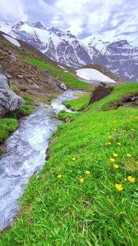 ‎ئەی گوڵ نامەوێ تازە بتبینم هێندە بێ رەحمی من بێزار لە ژینم ، سروشتی جوانی كوردستان ، دەڤەری باڵەكایەتی  Beautiful nature of Kurdistan , You can join us and have some nice time with us. #iraq #kurdistan #kurdistan🇭🇺 #erbil #sulaymaniyah #choman #balakayati #nature #mountain #Hiking #snow#lake #nature #naturephotography #baghdad #tourist #touristguide #foryou #viral #fyp #كردستان #هەولێر #گەشتیاری #كوردستان🇹🇯 #گردشگری #مرشد_سياحي #طبيعتگردي #بغداد_العراق🇮🇶#طبيعت 