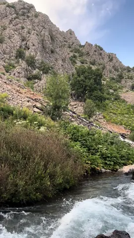 #munzur #munzurgözeleri #dersim #dersim62 #keşfet #alevigenclik 