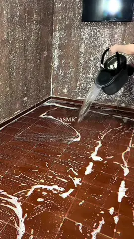 #asmr #CleanTok #asmrcleaning #cleantok #clean #asmrlimpeza #limpeza 