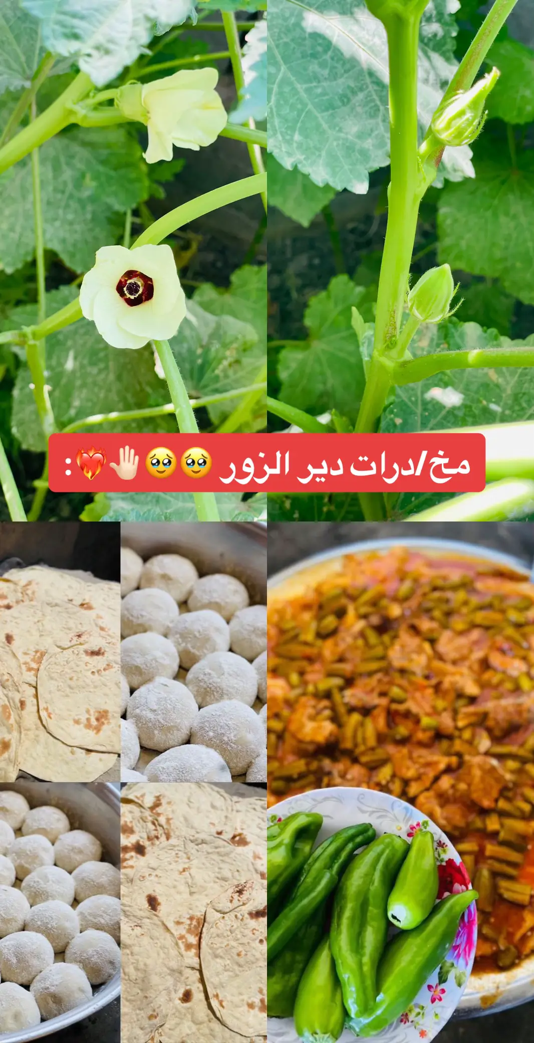 اوصف حبك لهاذي الاكلا ❤️‍🔥🔥#capcutvelocity #شعب_الصيني_ماله_حل😂😂 #CapCut #longervideos #لايك__explore___ #ترند_تيك_توك #مافيني_حيل_احط_هاشتاقات #اكسبلورر #يغار_يغار #ديرالزور #سوريا🇸🇾 #العراق #fyp #اكسبلورexplore #foryoupage #foryoupage 