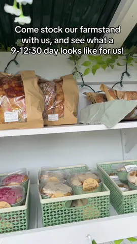 My other videos ALWAYS wonder what its like for us and how we sell and if we sell out.. so heres a video! Today we did 3 1/2 hrs! Closed a little early before we sold out 😅 #farmstand #farmstand #bagels #fypage #fypシ゚viral #fypp #foryoupage #sourdough #sourdoughbread #fyppppppppppppppppppppppp #farmstandbakery #hawaii #carrotcake #bananabread 