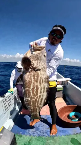 🎣 PESCA DE UN ABADEJO🎣 📢OBSERVEN HASTA EL FINAL #caribefishing #vigiachico #pesca #CaribeMexicano #puntaallen #puntaallenfishing #pescaartesanal 