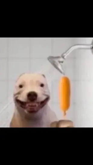 #doghashotdoginshower #viral 