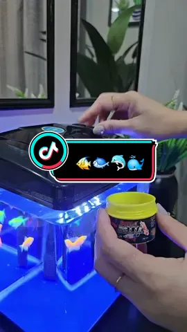 Mini Aquarium complete set #sobominiaquarium #miniakuarium #petlover #fish #fishtank #fishlover 
