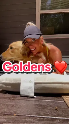 I wish the obsession was mutual 🥲 #goldenretriever 