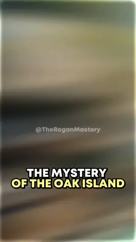 The Mystery Of The Oak Island! #joerogan #oakisland #island #pirate #treasure #story #viral #foryou 