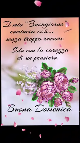 #buongiorno #buonadomenica🌈🌈 #buonagiornata🌞 