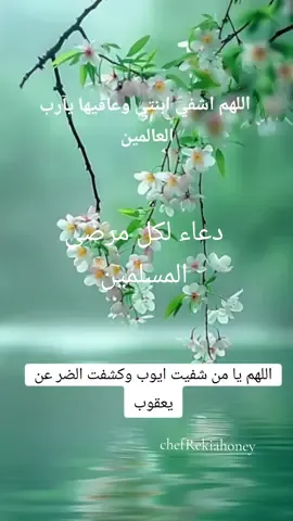 #alger #الجزائر #المرض#الشفاء #,ا#حالات_واتس #,a#@#♡ 