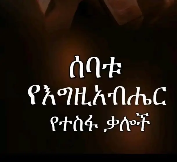 #ኣርቶዶክስ_ተዋሕዶ 