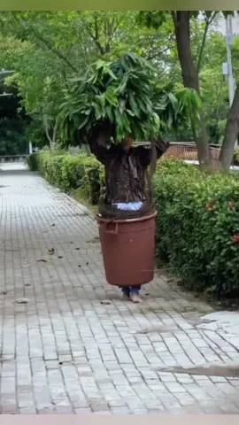 The tree man funny #funnyvideos #funnymoments #prankvideos #funnyvideo #funny #prank #funnyprankvideos #prankvideo #funnypranks #funnyprank #fypシ 