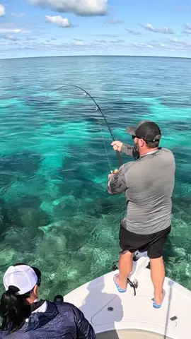 Umbrella Rig put to work on the Great Barrier Reef. New YouTube video now live #fishing #fish #foryou #fishtok #fishingtiktoks #greatbarrierreef #australia @Daiwa Australia @Nomad Design Tackle 