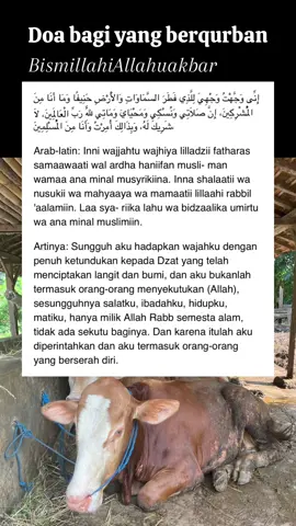 #bismillah  #alhamdulillah  #allahummashollialasayyidinamuhammad  #waalaalihiwasohbihiwassalim  #doabagiyangberqurban