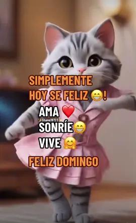 #parati#felizdomingofamiliar❤️🌹❤️  #tiktok #frasespositivas🦋 #lindodia#shane19723🇧🇪♥️🇪🇨 