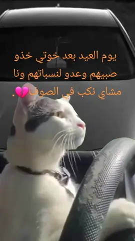 #CapCut #شعب_الصيني_ماله_حل😂😂 #كل_عام_وانتم_بخير #تصميم_فيديوهات🎶🎤🎬 #تصميم_فيديوهات🎶🎤🎬تصميمي🔥 #اعادة_النشر🔃 #اجدابيا #ليبيا_طرابلس_مصر_تونس_المغرب_الخليج #طربلس_مصراته_صبراته_زوراه_سرت_بنغازي #ليبيا_درنه_بنغازي_اجدابيا❤️ #سرتنا_سرت_ليبيا💚🌻🔥🦅💚 #اكسبلورexplore #لايك__explore___ #متابعه_ولايك_واكسبلور_فضلا_ليس_امر #مشاهير_تيك_توك #لحضه_ادراك #احلا_متابعين #احلا_متابعيني_واصدقائي🥀💚🙂💜 #عبدالروؤف_مذكور @عبد الرؤوف مذكور/اجدابيا ❤🔥 @عبد الرؤوف مذكور/اجدابيا ❤🔥 @عبد الرؤوف مذكور/اجدابيا ❤🔥 