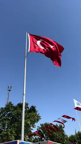 Turkish flag#istanbul #turkey #türkiye #turkije 