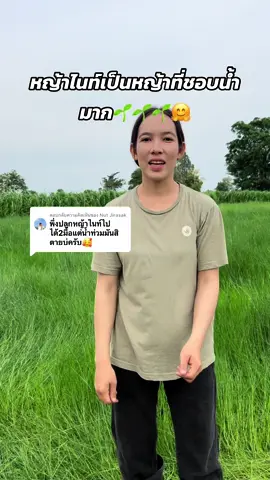 ตอบกลับ @Nut Jirasak ไม่เป็นไรเลยค่ะ รอน้ำลดนะคะแล้วรอดูได้เลยค่ะไม่เกินสี่ห้าวันขึ้นแน่นอนค่ะ😊🌱#อุ๊อิวัวอารมณ์ดี🤗🐂 #อุบลหวานมากกกก❤️‍🔥🤫 