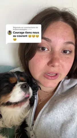 Réponse à @lesbonnesappes ✩⪩⪨  merci pour tout vos messages privé et commentaires pour henry ca fait chaud au coeur #cockerspaniel #hospitalisation #dog #maladie 