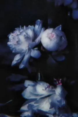 Reed Wonder, Aurora Olivas - Take All My Love @Reed Wonder @Aurora Olivas #newmusic #fyp #Love 
