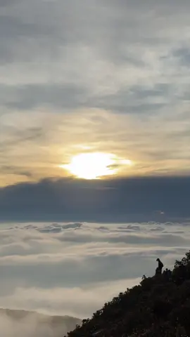 Ketika Gunung gede sesuai ekspektasi 😍 . . . . . . #gununggedepangrango #gununggede2958mdpl #gununggedeviagunungputri 