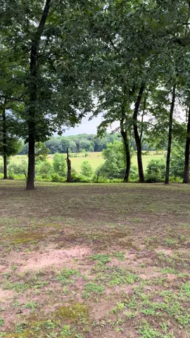 This Morning’s Walk Before A Storm Rolled In! #walk #beauty #nature #mountains #ozarks #grateful #thankful #blessed #tiktok #fypシ゚viral #homestead #homesteading #arkansas #christian #timewithgod 