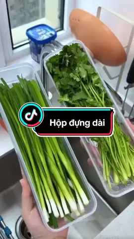 Hộp bảo quản hành lá dài tiện lợi #dogiadung #dogiadungtienich 