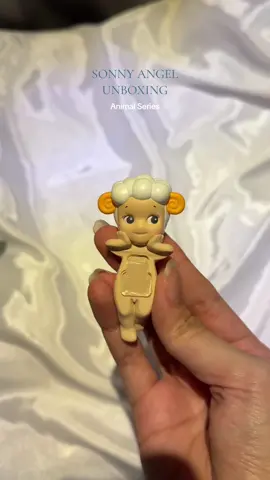 finallyyy 🥹 #unboxing #hippers #sonnyangel #sonnyangelhippers #animalseries 