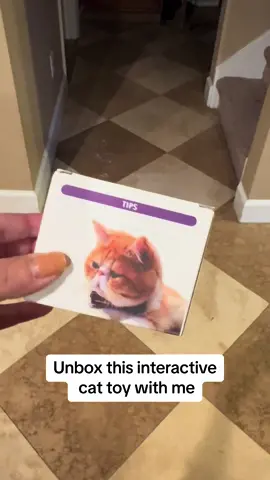 #cat #catsoftiktok #cats  @Huimpet @huimpet.lovepets 